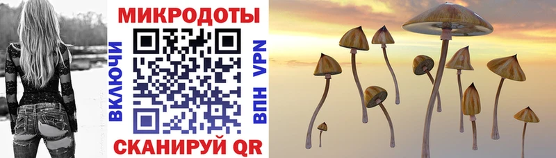 Псилоцибиновые грибы прущие грибы  купить наркоту  Серафимович 